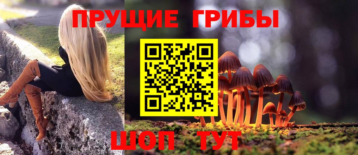 Галлюциногенные грибы MAGIC MUSHROOMS Ставрополь
