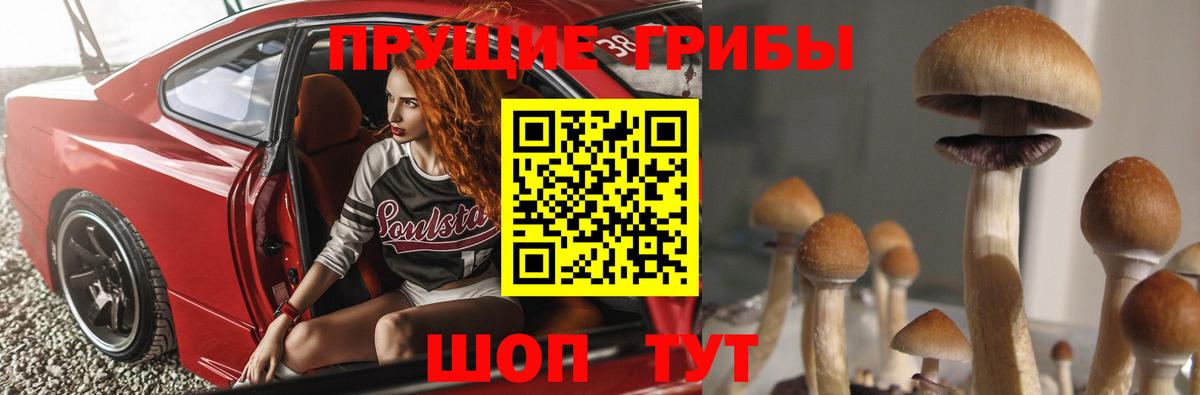 Ставрополь  Псилоцибиновые грибы ЛСД  Вход с VPN 